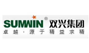 廣東雙興新材料集團有限公司